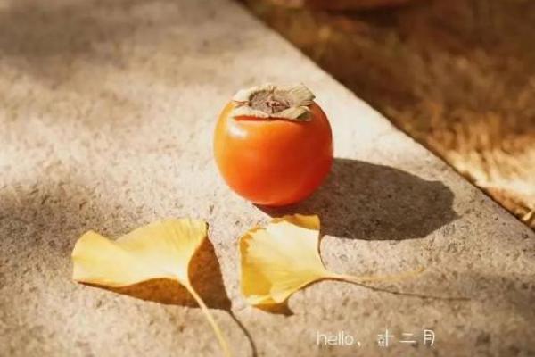 农历冬月15：揭秘这一日出生者的命运与人生轨迹