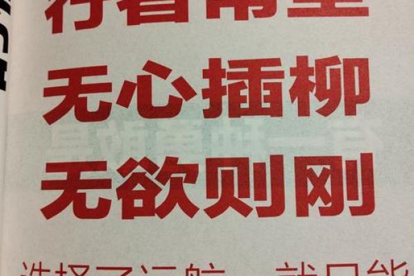男子命硬的表现及其内涵解析，探寻人生的坚韧与智慧