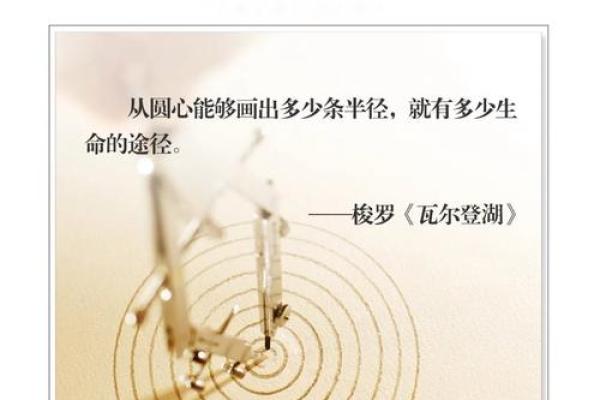 探索命起涟漪的深意：人生如水，细微之处显风波