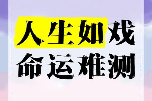 从2005910看人生：揭示你的命运与运势之谜
