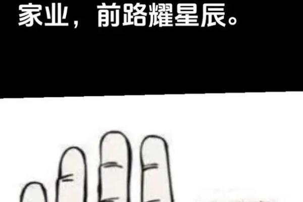 通过手相揭秘命运：了解你的未来与性格