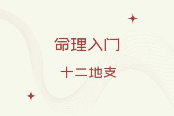 命理入门：从基础到精深，掌握命理的学习路径