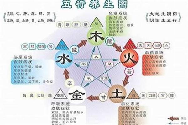 如何通过五行八字解析人的命运与性格特征