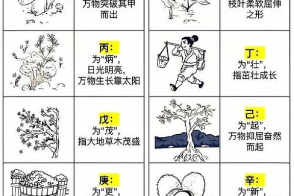 水蛇命之人：命名的艺术与选择，探析水蛇命人的姓名理念与吉祥字眼