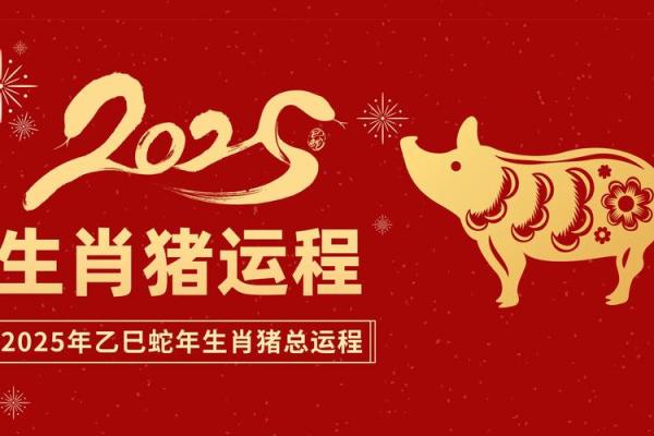属猪的1995年出生的人命运解析与人生指南