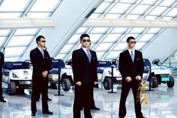 护命保镖：生命的守护者与安全的象征