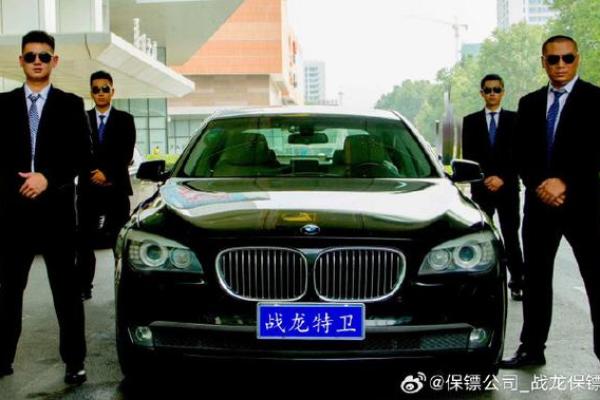 护命保镖：生命的守护者与安全的象征