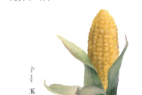 为何一颗玉米让生命戛然而止？探寻食物背后的隐秘故事