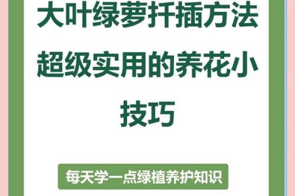 大林木命养殖花卉指南：为您带来绿意与运势的完美结合