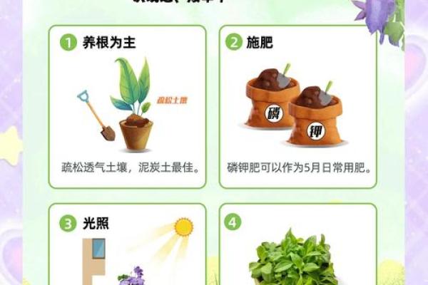 大林木命养殖花卉指南：为您带来绿意与运势的完美结合