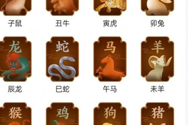揭开夜晚生肖的秘密：解读十二生肖背后的命运与智慧