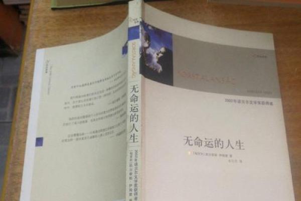 1992年1月出生的人生特点与命运解析