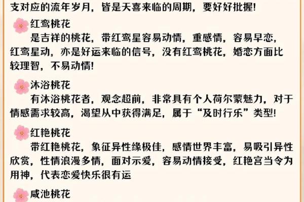 属狗的人短命的命理解析与人生智慧