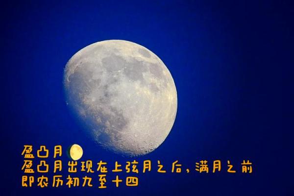 1966年农历12月出生的人：命运与性格的奥秘探秘