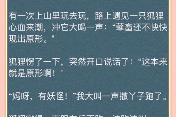命不由天，似水流年——一场关于动物的启示之旅