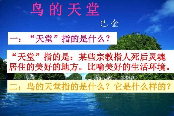 《鼓命的深意与情感：一曲动人心弦的旋律》