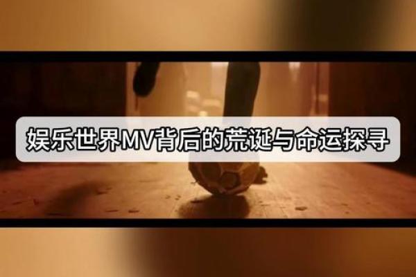 探寻《有什么命》的深层含义与音乐魅力