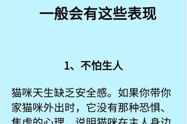 生来奴才命：揭开猫咪优雅与任性的神秘面纱