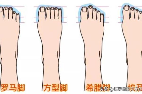探索脚骨头往外的命运解析：从脚相看人生轨迹