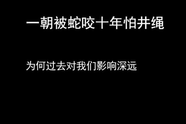 绳子加命，百折不挠：成语背后的智慧与启示