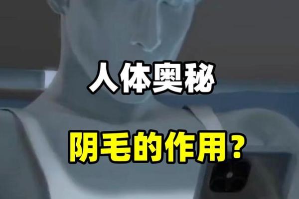 身上长毛的人是什么命？解读毛发与命运的奇妙关系