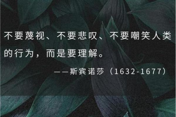 探索叫花命背后的深意与人生哲学