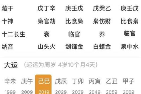 探索丙寅丁卯命理：揭开男人命运的神秘面纱