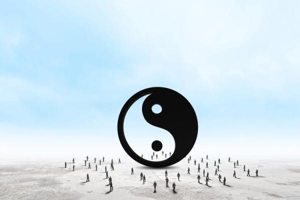 1973年属龙的命理分析：命运、性格与未来展望