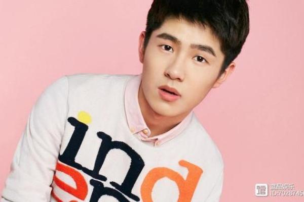 清秀男生的命运：魅力与挑战并存的一生