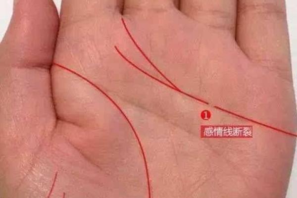 探秘手相中的桃花运:如何判断你的感情运势 探秘手相中的桃花运:如何判断你的感情运势