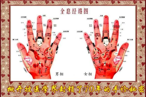 手腕上的秘密：揭示你的命运与性格特征