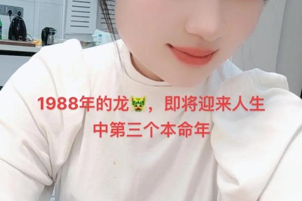 1988年属什么生肖？探秘属龙人的命运与性格特征