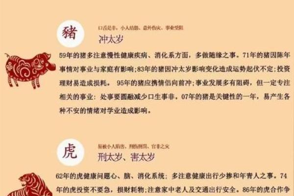 戊寅仙命：寻找理想的安葬方向及其文化意义