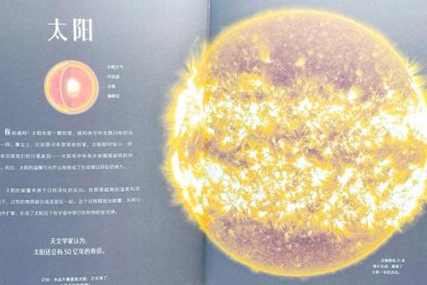 命理的奥秘：探索宇宙与人类命运的学科之旅