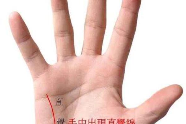 善用手相分析，揭示你天生的劳碌命轨迹