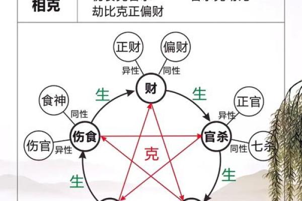 探索2008年出生的鼠命：命理与性格的奥秘
