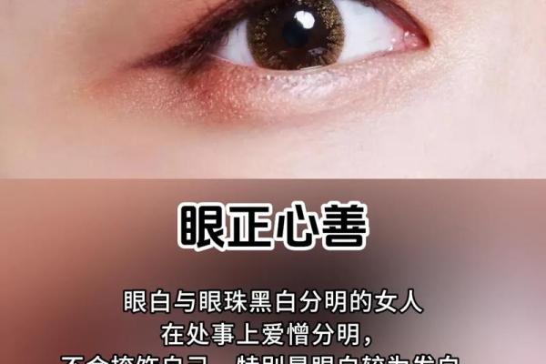 淡眉毛的人有什么命运？揭密命运与面相的奥秘