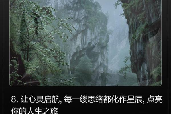 1979年的命运：探索属于你的星辰与人生旅程