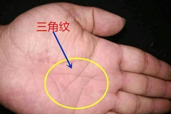 探寻手型奥秘：哪些手型代表富贵命运？