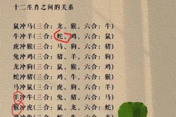 解读48岁生肖属相及命格，揭示人生宝藏与机遇