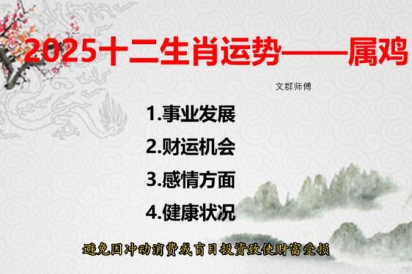 1933年属鸡人的命运与人生解析