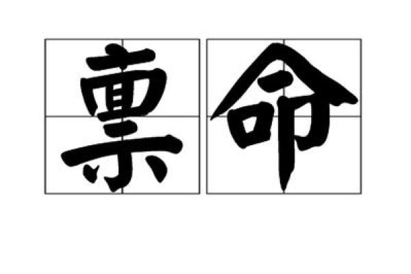 揭开“曾命”之谜：古老词汇的现代意义与用途
