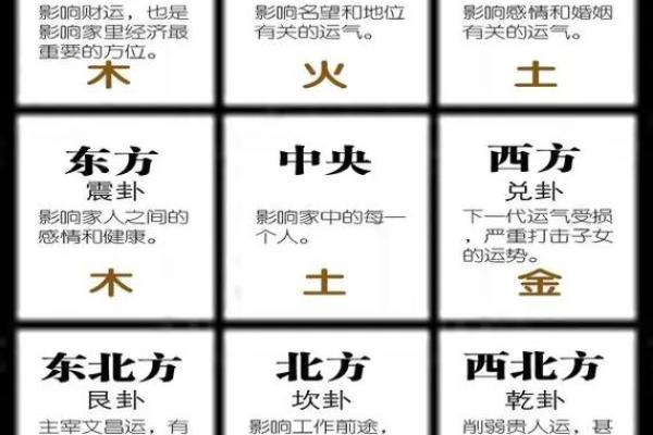 风水植物与五行命理的奥秘：如何选择合适的绿植提升运势？