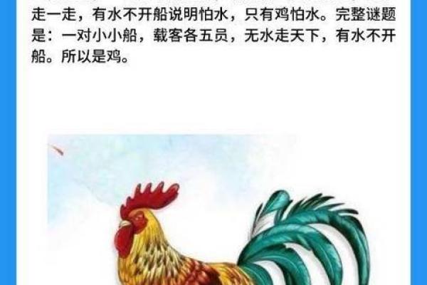 1981年出生的人：生肖鸡的命运与财富人生探秘
