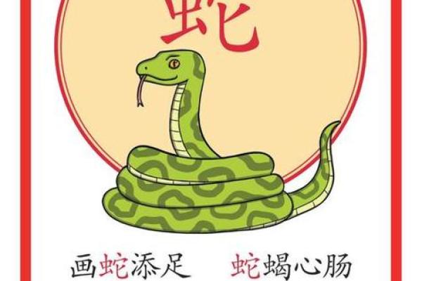 天生奴才命的属相解析：谁是命运的追随者？