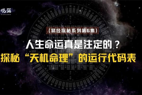 从年份解读命运：如何通过出生年份洞察人生轨迹
