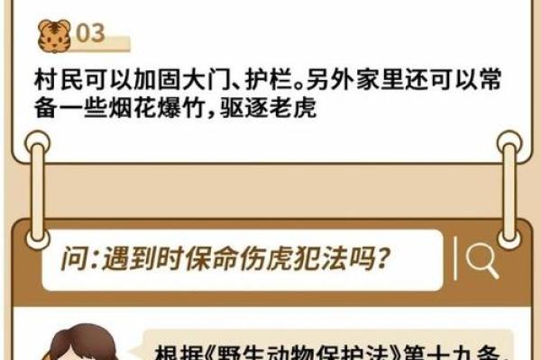 1986年老虎年出生的人命运解析与人生指南