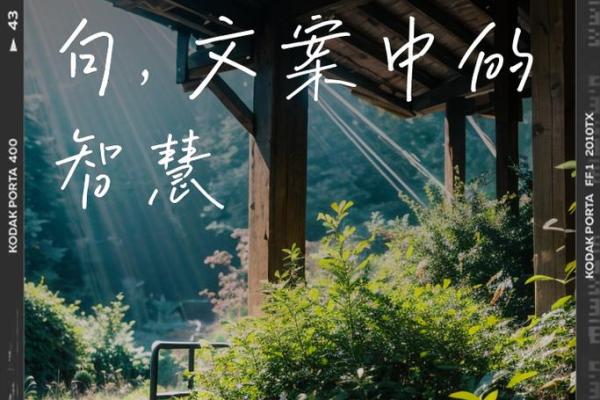 白蜡金命的神秘与魅力：探索命理背后的智慧与人生指引