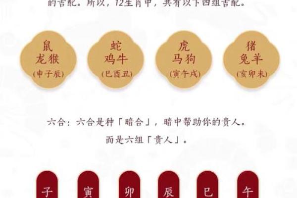 2023年82岁属什么命：探索老年人的生肖命理与人生智慧