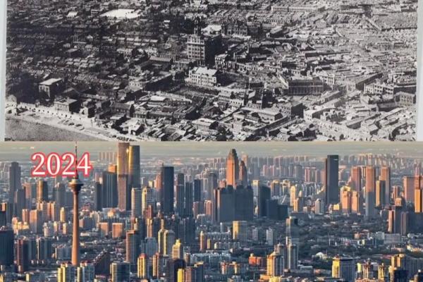 1995年：科技飞跃与文化变迁的交汇点